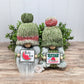 Watermelon Gnomes